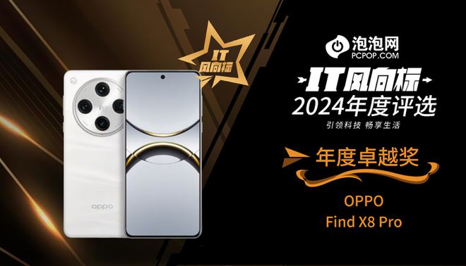 】2024年度评选：年度卓越奖K8凯发天生赢家【IT风向标(图7)