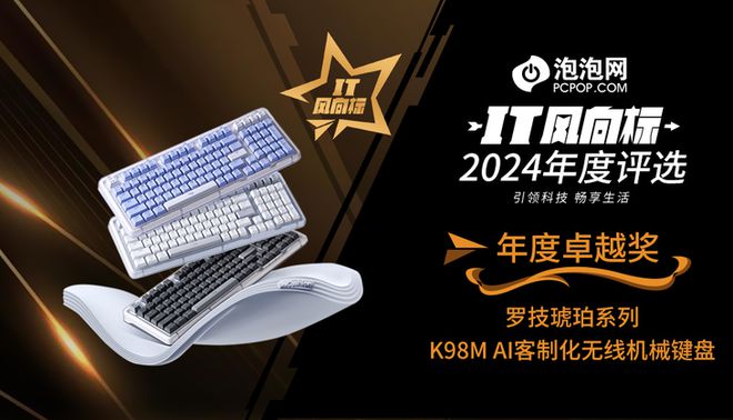 】2024年度评选：年度卓越奖K8凯发天生赢家【IT风向标(图6)