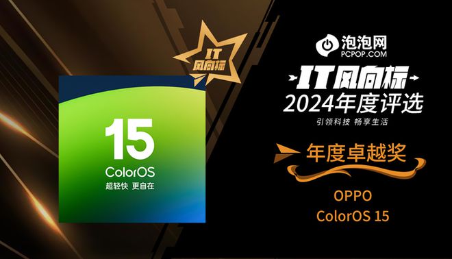 】2024年度评选：年度卓越奖K8凯发天生赢家【IT风向标(图8)